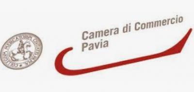 Bando_FAI_CREDITO_2024_LA_CAMERA_DI_COMMERCIO_DI_PAVIA_FAVORISCE_L_ACCESSO_AL_CREDITO_PER_LE_MPMI